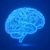 Deciphering the Primary Trigger of α-Synuclein Misfolding in Parkinson’s Disease